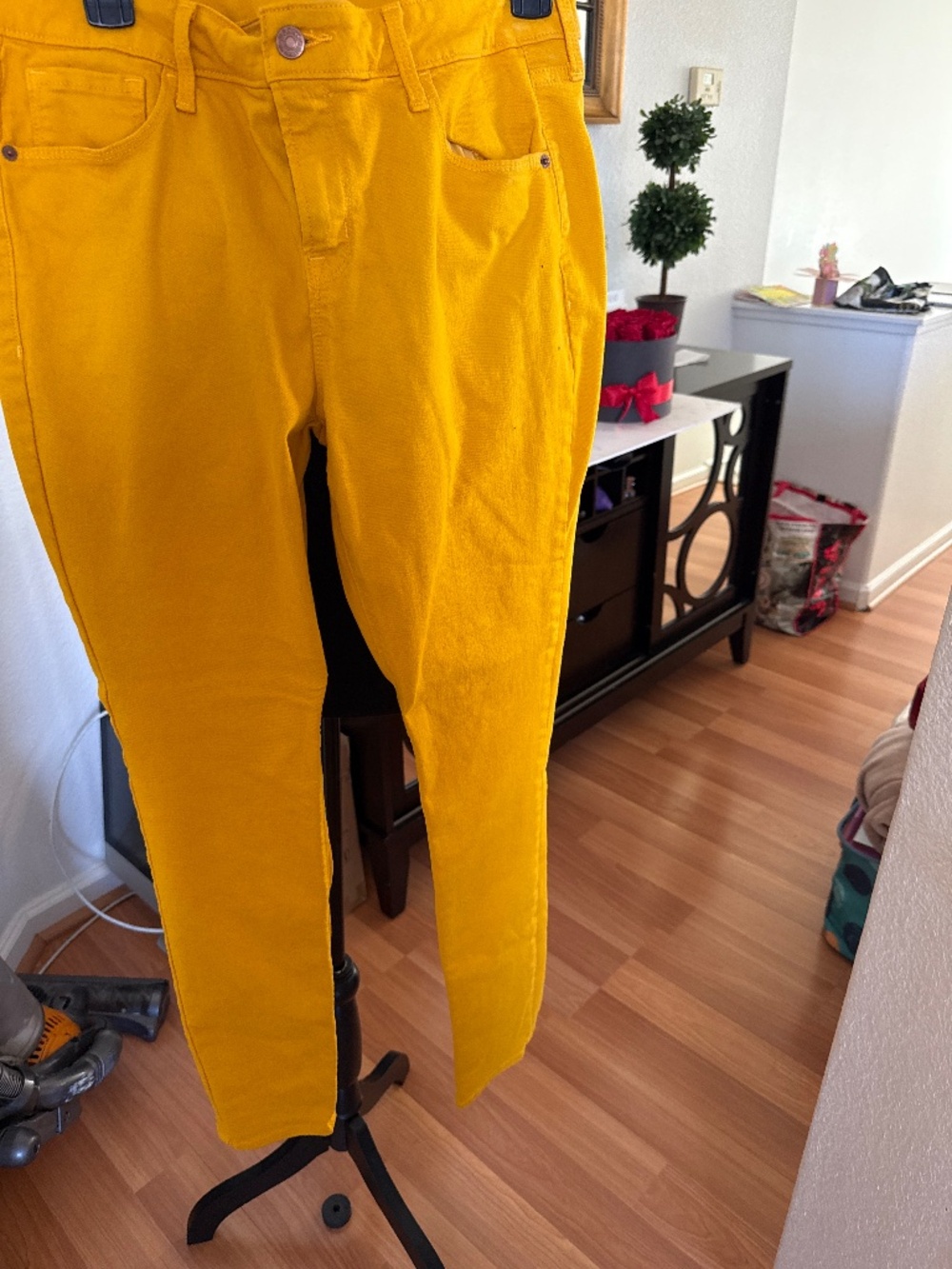 Women’s Pants
